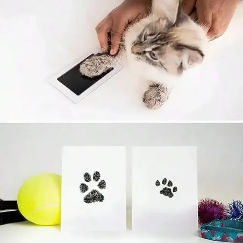 Kedi%20Köpek%20Pati%20İzi%20Fotoğraf%20Çerçevesi%20Seti