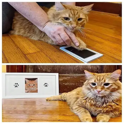 Kedi%20Köpek%20Pati%20İzi%20Fotoğraf%20Çerçevesi%20Seti