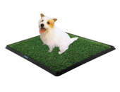 Kedi & Köpek Aksesuarları 